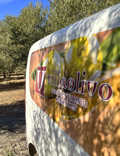 villaolivo camión olivos