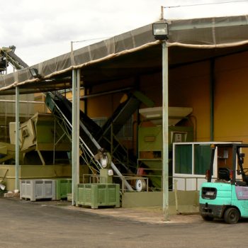 Almazara de Villaolivos